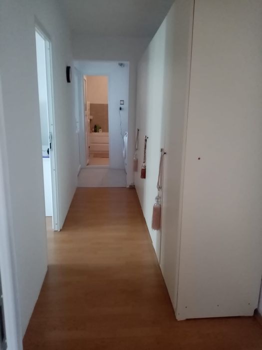 Apartament în Fieni