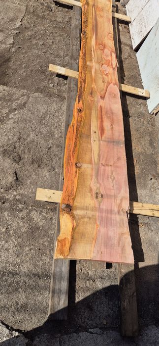 Янове от секвоя 3.30дължина СУХИ