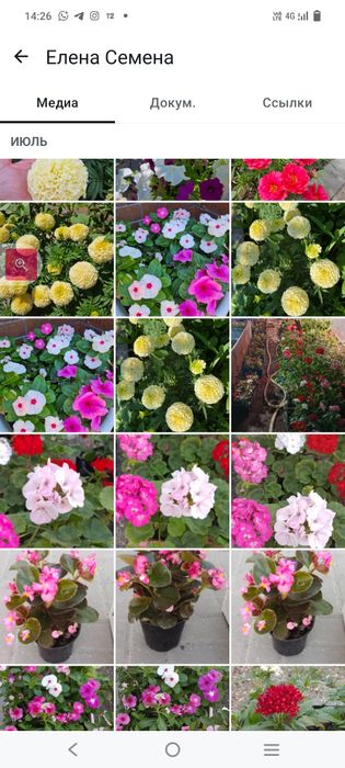 Рассада однолетних и многолетних цветов