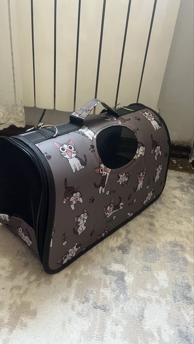 Мысығыма жаңа үй іздейміз