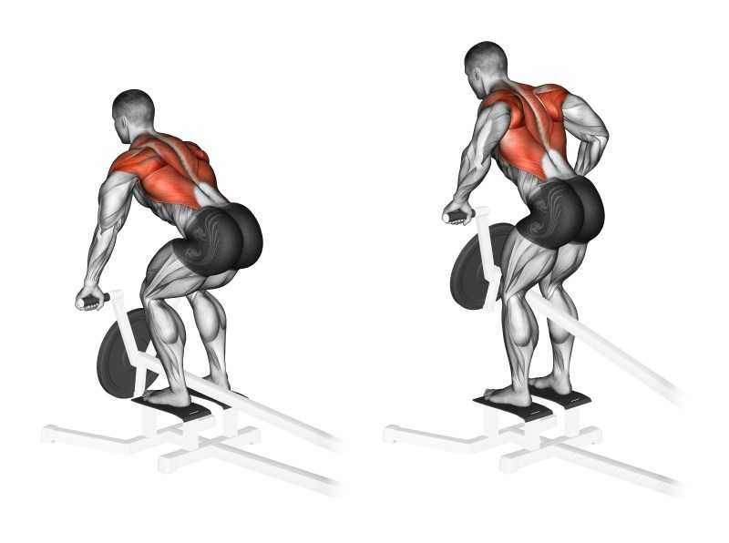 Impulse IFP1305
Тяга Т-грифа стоя