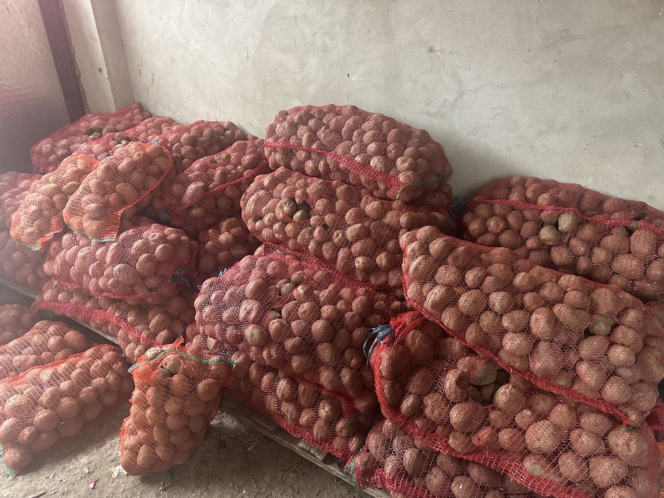 Cartofi de Covasna de consum