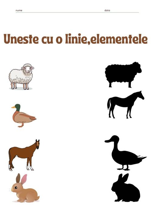 Fișe de lucru pentru copii