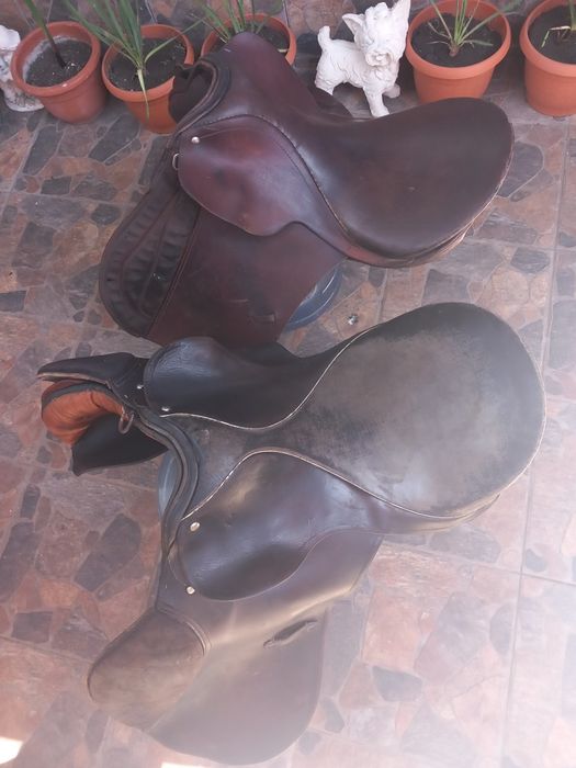 Vând șei călărie!