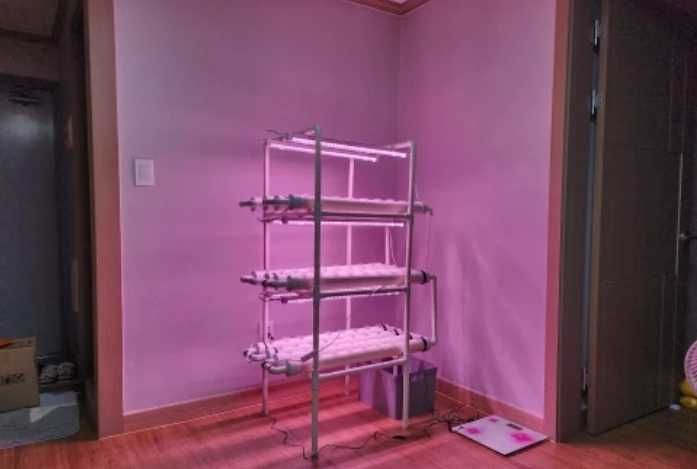 Гидропонная ферма 108 растений