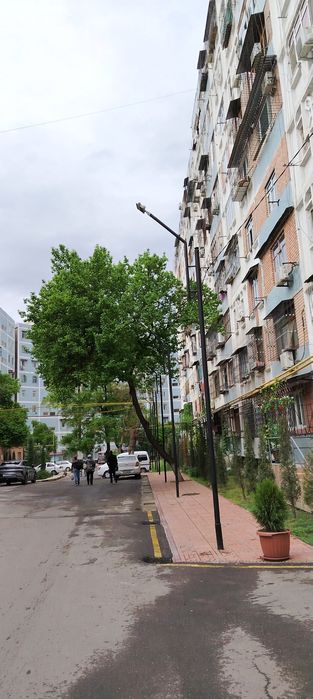 Шошилинч Чилонзор 2 хона, Алгоритм (Зарҳал савдо уйи олдида)