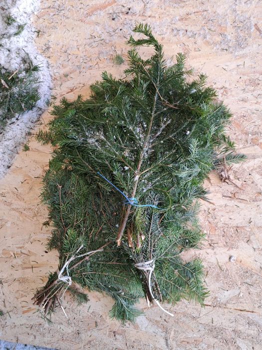 Елки новогодние пышные