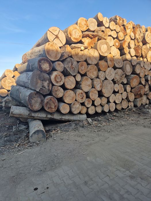 Lemne de foc esență tare.