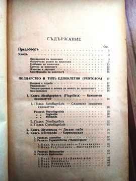 Анатомия и систематика на безгръбначните животни