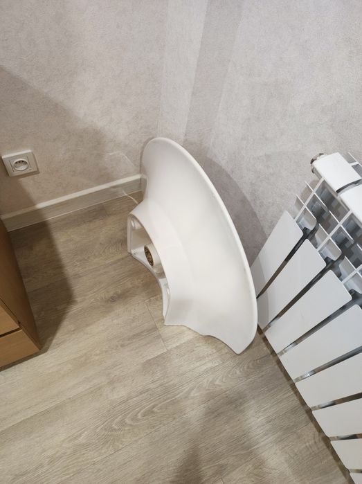 Красивая раковина