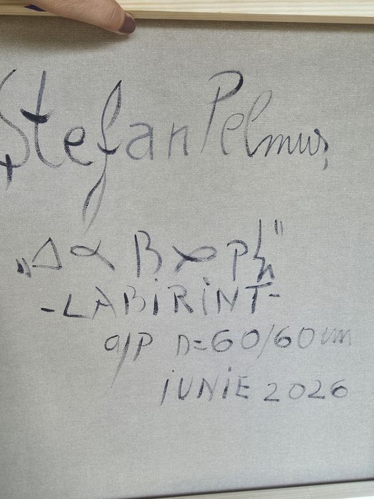 Tablou ,pictura , stefan pelmus