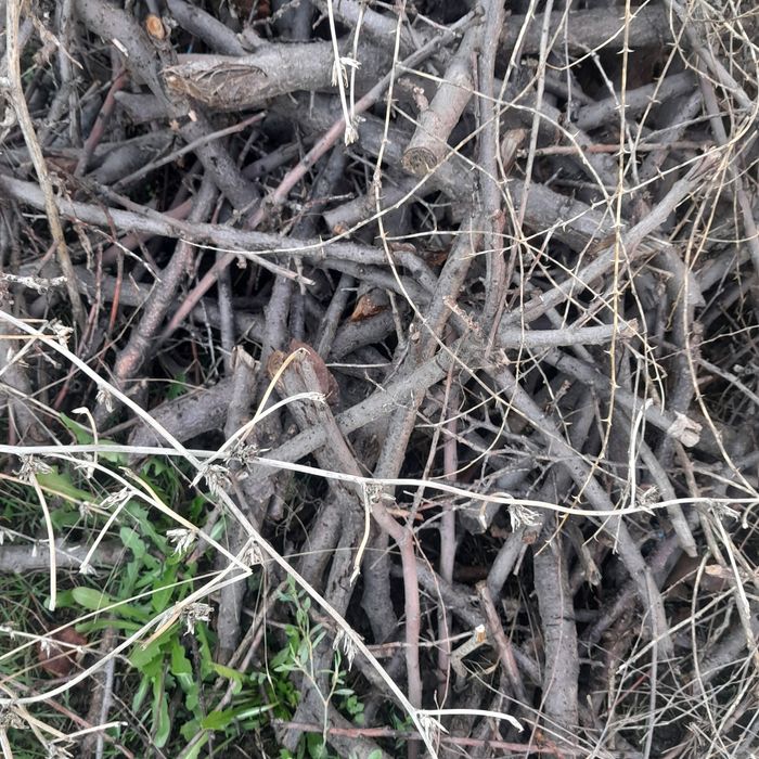 Дрова отын кебуууу