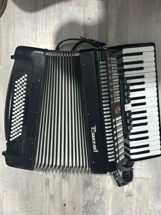 Acordeon Parrot 80 bași