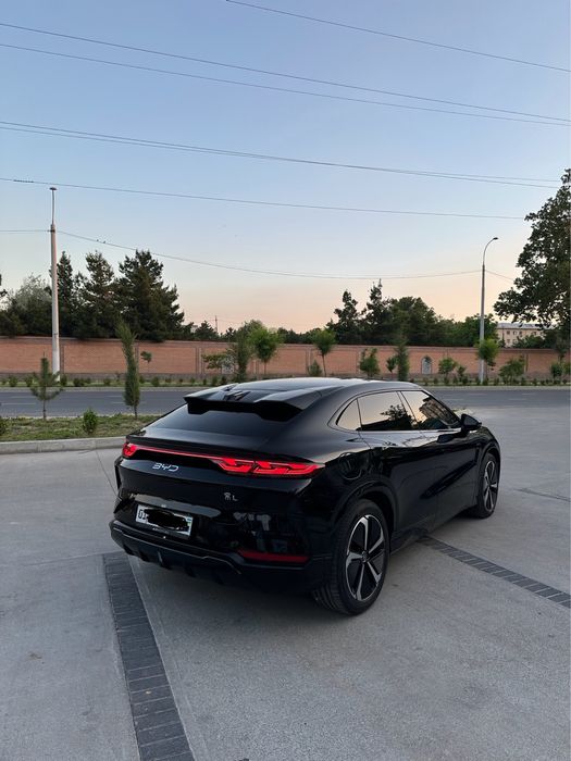 Byd song L 2024 yil