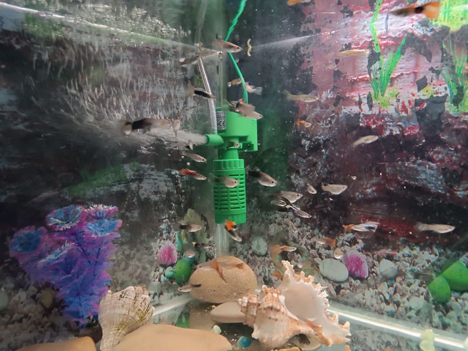 Продам аквариум 50 литров