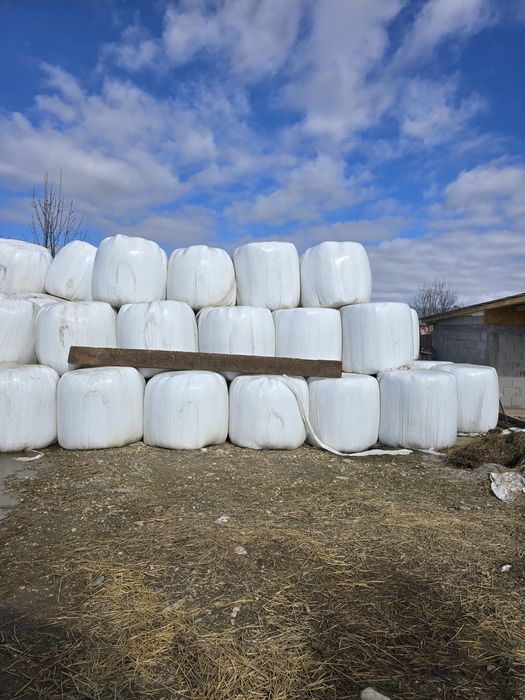 Baloti iarba infoliati