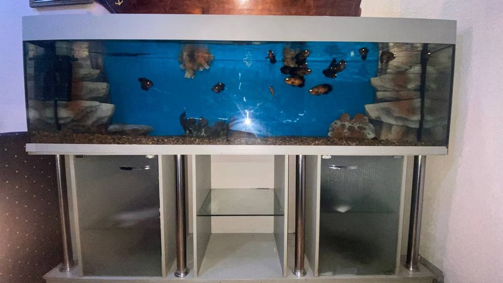 Продаётся аквариум стол для кафе