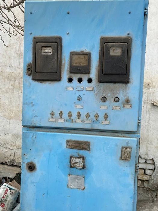 Маслины в/к 10 новый