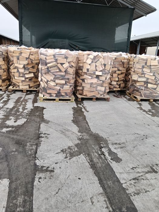 Lemn foc fag - sparte la plasa/palet, des. Fag, Mo., carbuni