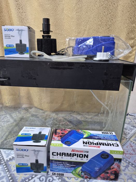 Животные аквариум
