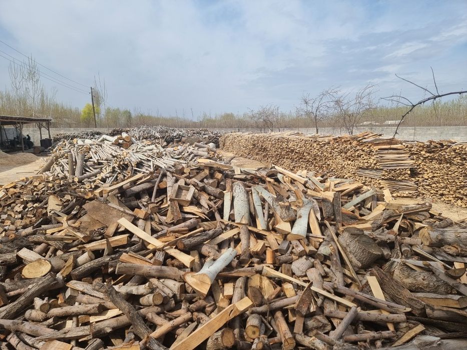 Paddon poddon Поддон