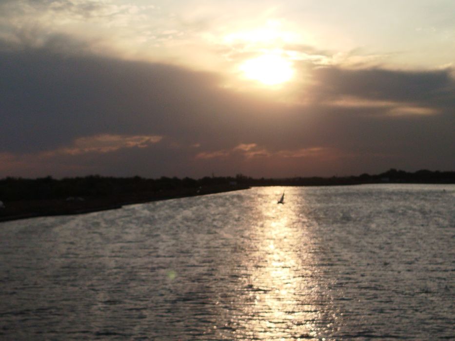 IELTS Tutor/Репетитор