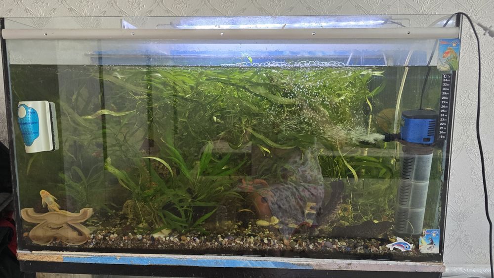 Продам аквариум 120- 150л