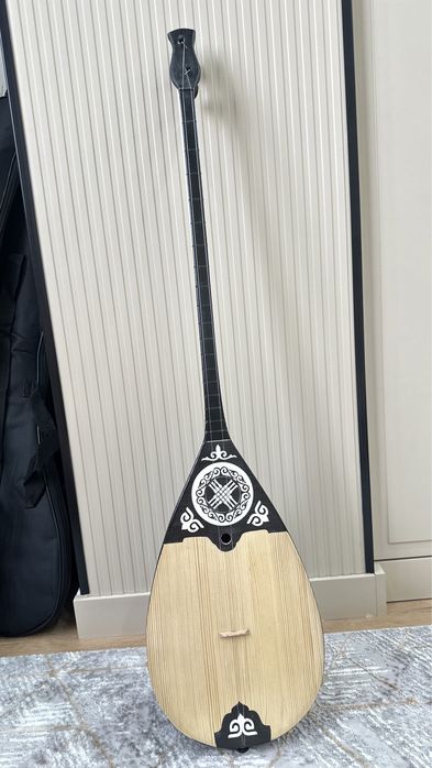 Домбыра чехолымен