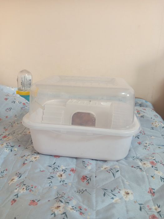 Серийский хомяк девочка, с клеткой. Ищет дом