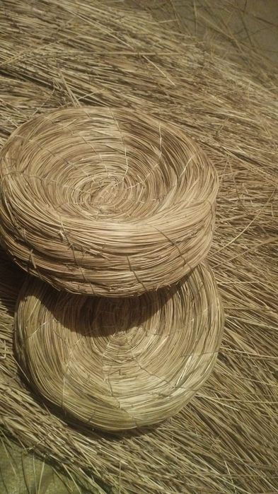 Гнезда голубеи по 1300