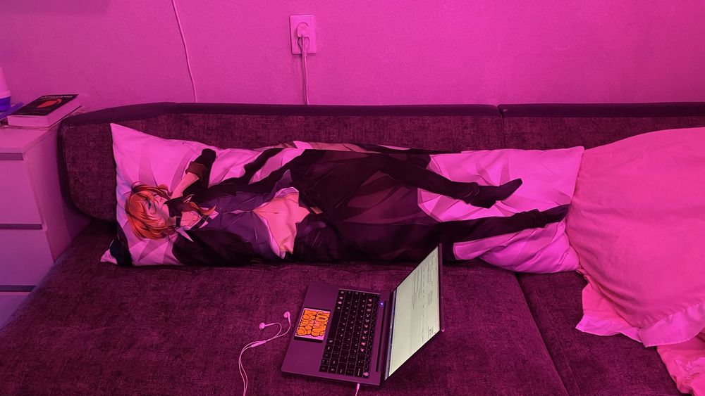 подушка дакимакура