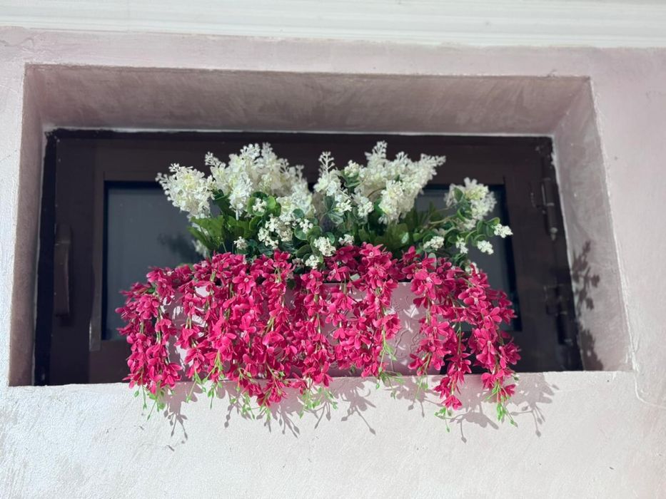 Продам цветы разные, большие