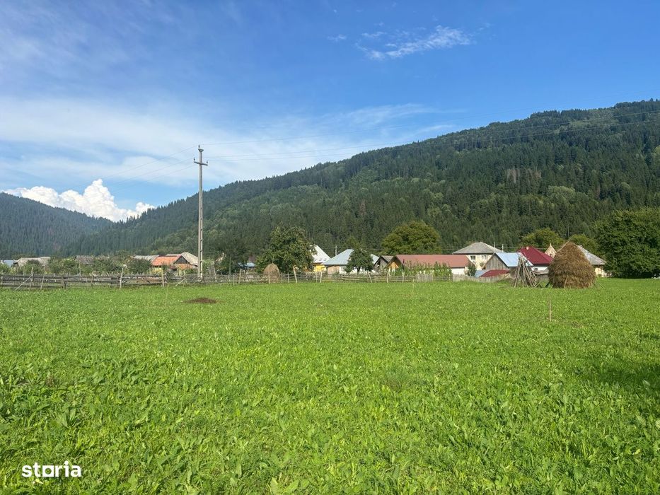 Teren Grințieș/Neamț