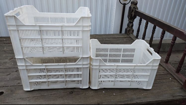 Ящик пластиковый