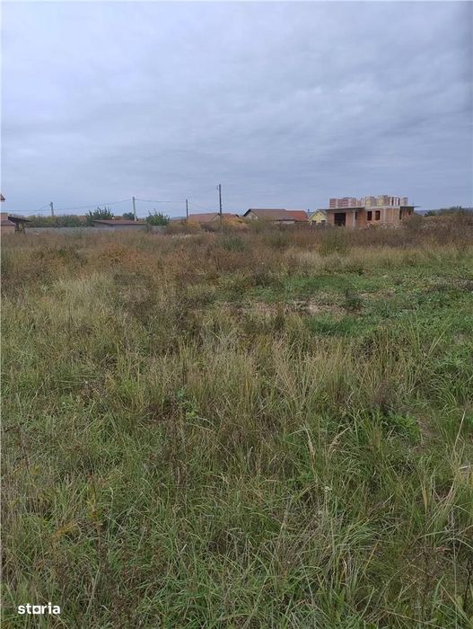 RECO Teren intravilan, Osorhei