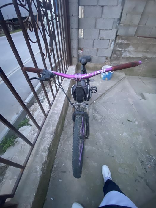 Стант велик шымкент