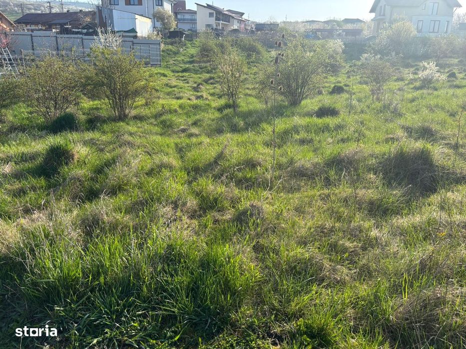 Teren intravilan str Pomet