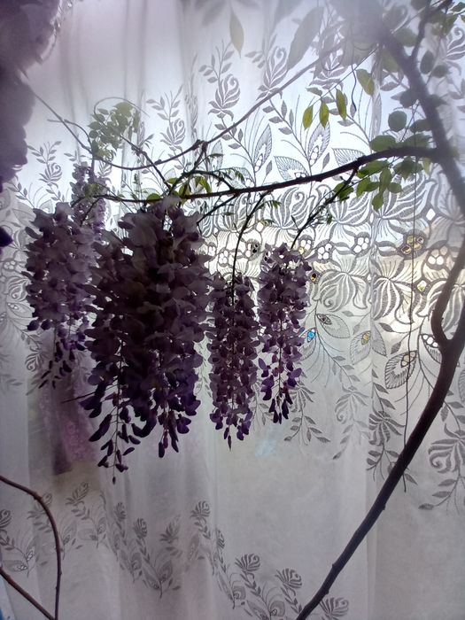 Продаётся паловина  дома