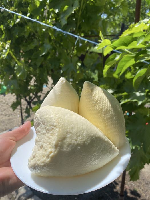Branza de vaca  engros