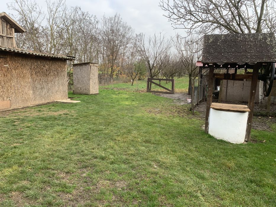 Casă de inchiriat
