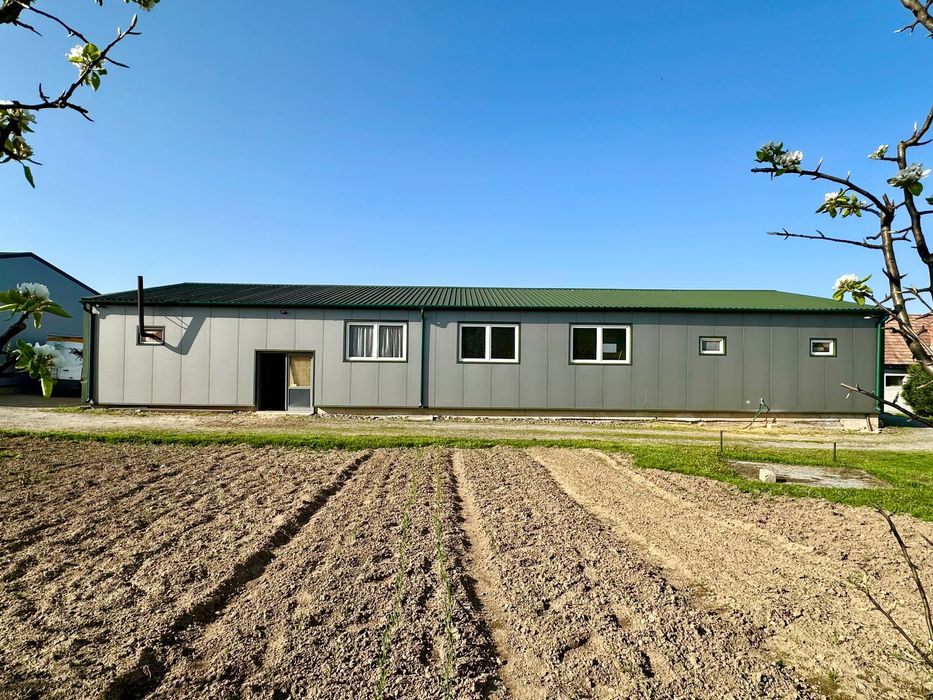 Hale productie/depozitare de inchiriat