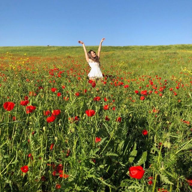 Такси в Горы от 150000 и до 400000