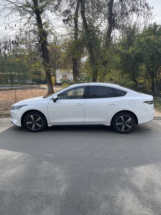 Продажа chazor flagship