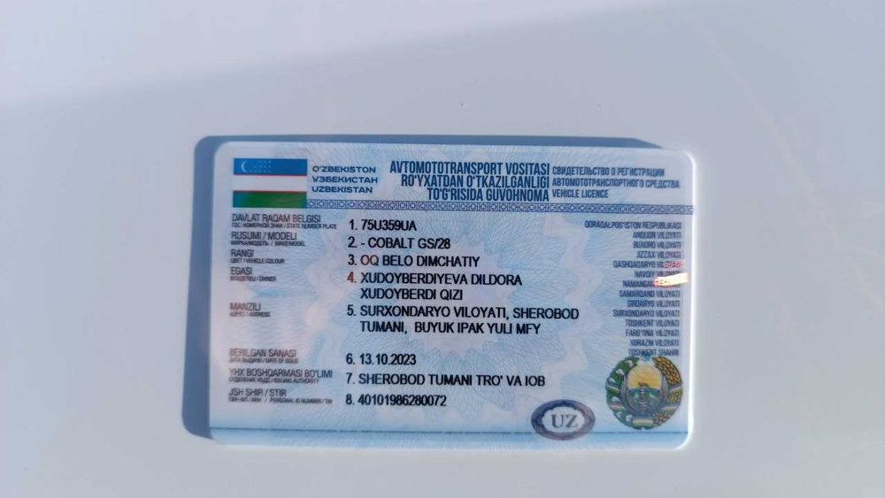 Cobalt 2018 mexanika