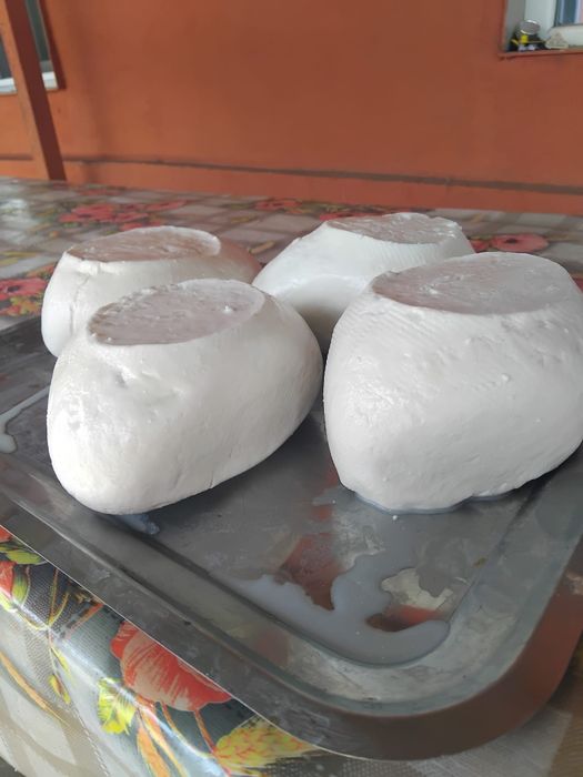 Vand branza capra si oaie 22 de lei pe kg pret de angro