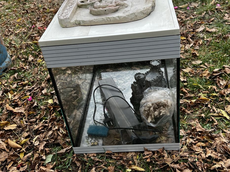 Acvariu pesti/broaste testoase