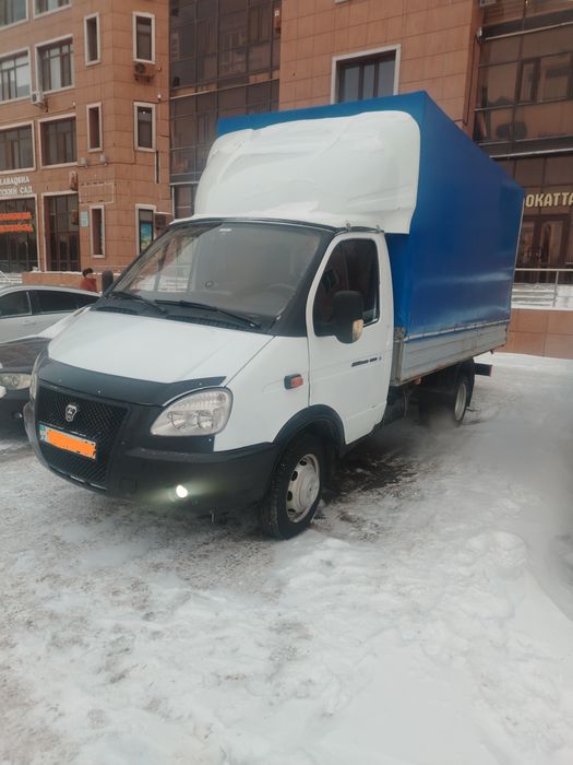 Бараны, овец интересует