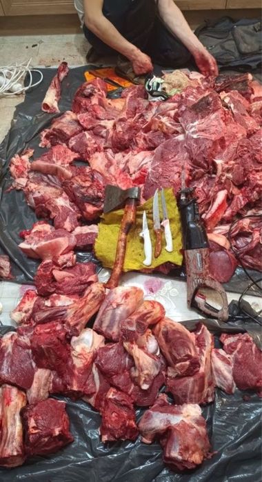 Касашы, мясник, разделка мясо, ет бузу, мушелеу.