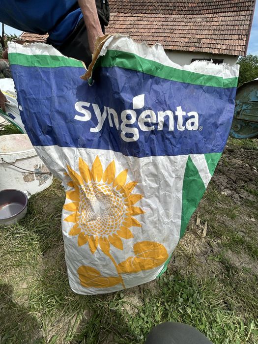 seminte de floarea soarelui