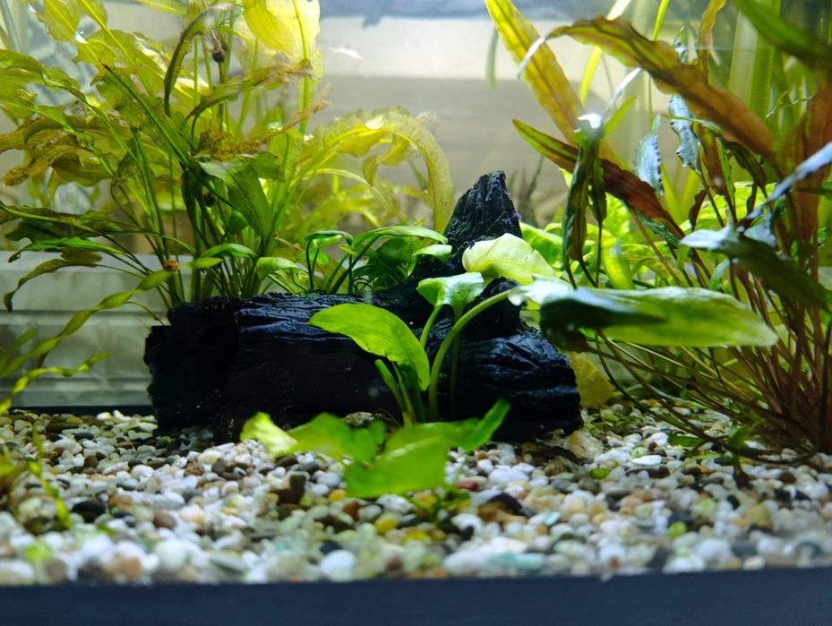 Новый аквариум 110 литров со всем